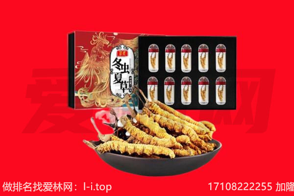 武强县回收虫草.jpg